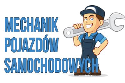 Polski mechanik samochodowy